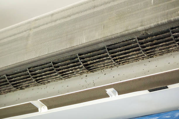 Best Affordable Duct Cleaning Services  in Plymouth, PA